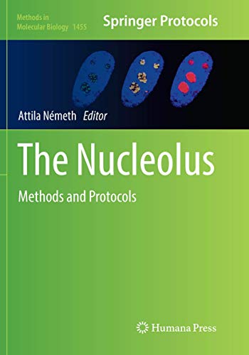 Stock image for The Nucleolus : Methods and Protocols for sale by Chiron Media