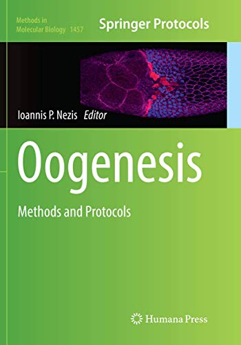 Stock image for Oogenesis : Methods and Protocols for sale by Chiron Media