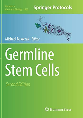 Stock image for Germline Stem Cells for sale by Chiron Media