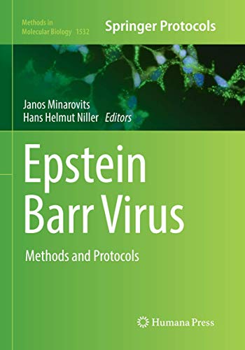 9781493982622: Epstein Barr Virus: Methods and Protocols