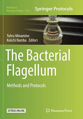 Stock image for The Bacterial Flagellum : Methods and Protocols for sale by Chiron Media