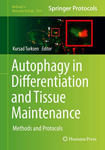Stock image for Autophagy in differentiation and tissue maintenance. methods and protocols. for sale by Gast & Hoyer GmbH