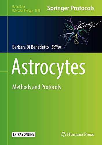 9781493990672: Astrocytes: Methods and Protocols: 1938 (Methods in Molecular Biology)