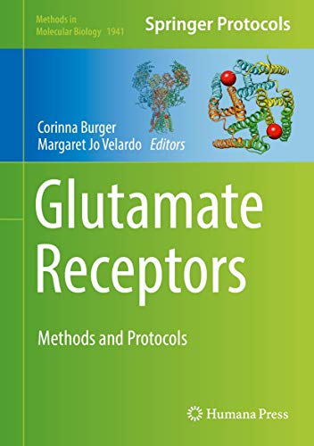 Imagen de archivo de Glutamate Receptors: Methods and Protocols (Methods in Molecular Biology, 1941) a la venta por Ria Christie Collections