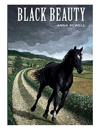 9781494227029: Black Beauty