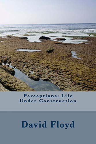 9781494244484: Perceptions: Life Under Construction: Volume 1