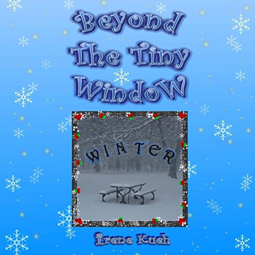 9781494268480: Beyond The Tiny Window: WINTER