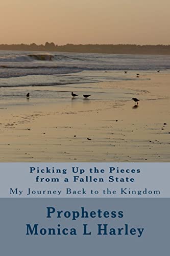 9781494287856: Picking Up the Pieces from A Fallen State: My Journey Back to the Kingdom