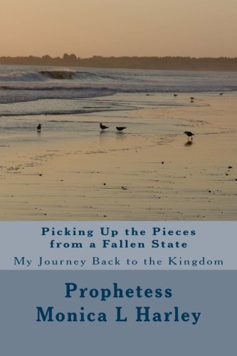 9781494287856: Picking Up the Pieces from A Fallen State: My Journey Back to the Kingdom