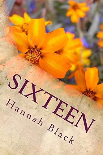 Stock image for Sixteen for sale by THE SAINT BOOKSTORE