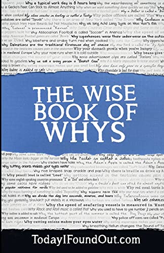Stock image for The Wise Book of Whys for sale by SecondSale