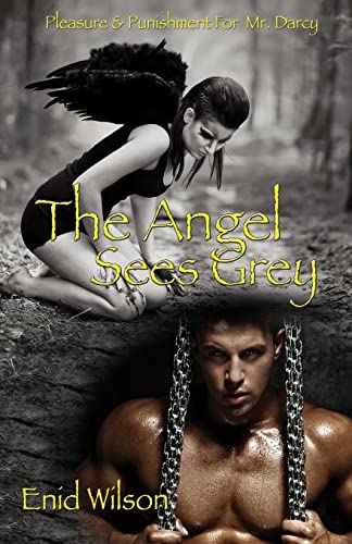 9781494783167: The Angel Sees Grey: Pleasure & Punishment for Mr. Darcy