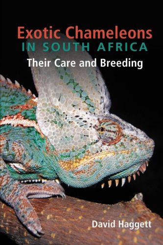 9781494844295: Exotic Chameleons in South Africa: Their Care and Breeding