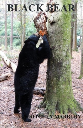 Beispielbild fr Black Bear zum Verkauf von Revaluation Books