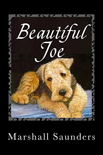 Beispielbild fr Beautiful Joe zum Verkauf von SecondSale