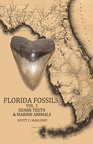 9781494881757: Florida Fossils: Shark Teeth & Marine Animals