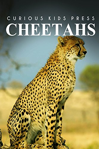Imagen de archivo de Cheetah - Curious Kids Press a la venta por SecondSale