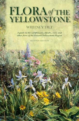 Stock image for Flora of the Yellowstone: Flora of the Yellowstone (2nd Edition) : A Guide to the wildflowers, shrubs, trees and other flora of the Greater Yellowstone Region of Idaho, Montana, and Wyoming for sale by GF Books, Inc.