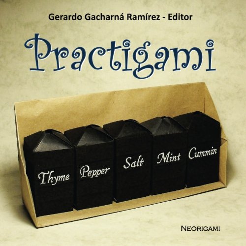 Imagen de archivo de Practigami a la venta por Revaluation Books
