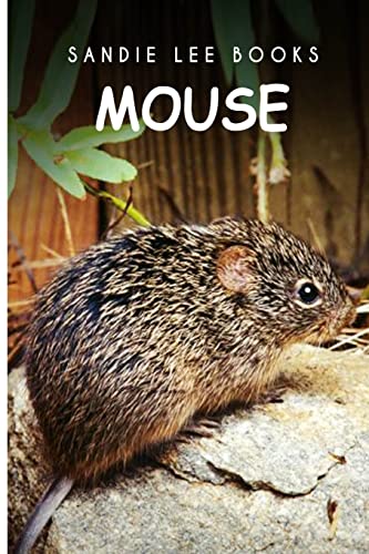9781495210105: Mouse - Sandie Lee Books