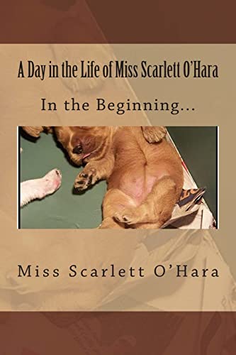 9781495239311: A Day in the Life of Miss Scarlett O'Hara: In the Beginning: Volume 1