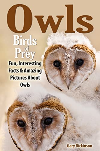 9781495241727: Owls: Birds Of Prey