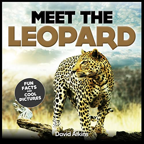 Beispielbild fr Meet The Leopard: Fun Facts & Cool Pictures (Meet The Cats) zum Verkauf von AwesomeBooks