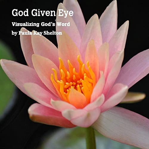 Stock image for God Given Eye: Visualizing God's Word for sale by Lucky's Textbooks