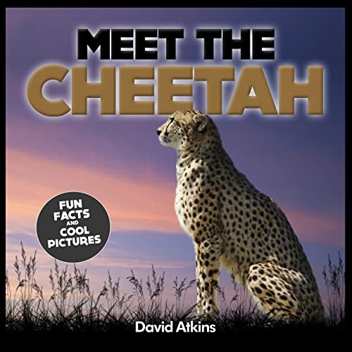 Stock image for Meet The Cheetah: Fun Facts & Cool Pictures (Meet The Cats) for sale by Save With Sam