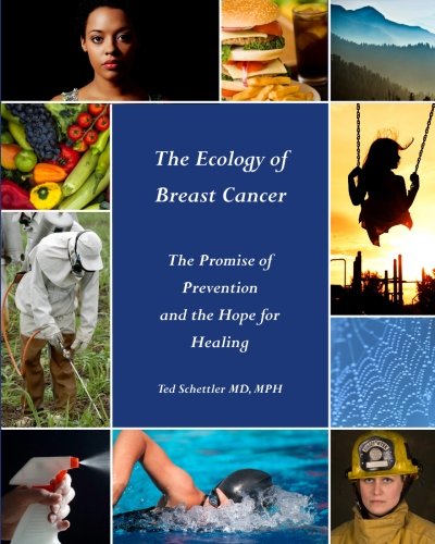 Stock image for The Ecology of Breast Cancer: The Promise of Prevention and the Hope for Healing for sale by thebookforest.com