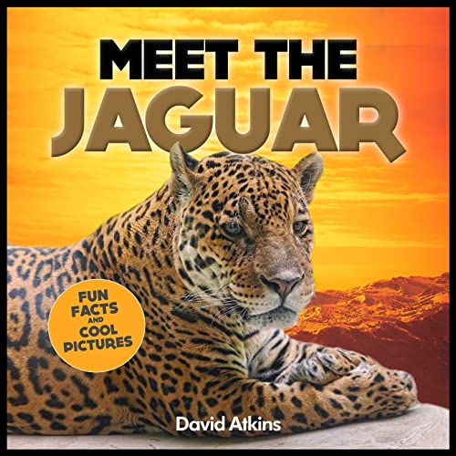 Imagen de archivo de Meet The Jaguar: Fun Facts & Cool Pictures (Meet The Cats) a la venta por Wonder Book