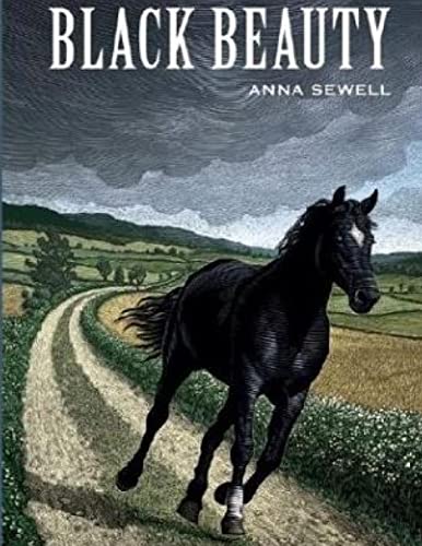 Stock image for Black Beauty [Illustrated] for sale by Lucky's Textbooks