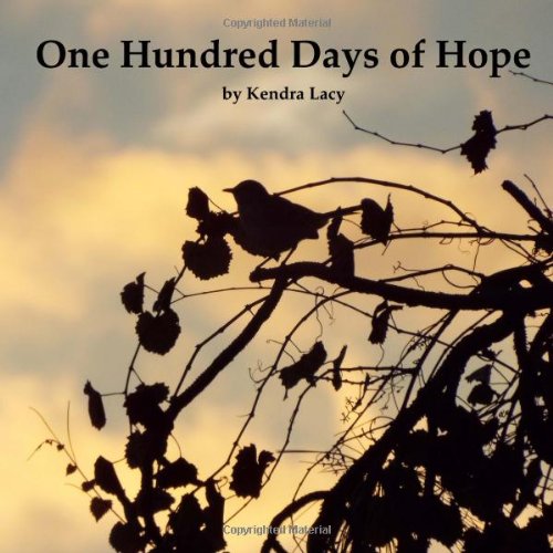9781495364563: One Hundred Days of Hope
