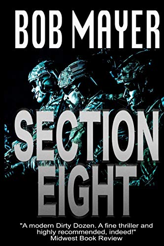 9781495417115: Section Eight: 5 (Shadow Warriors)