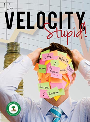 9781495804274: It's Velocity Stupid!