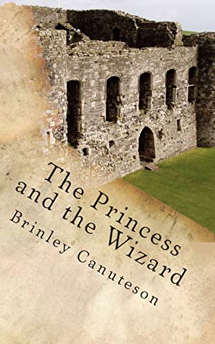 9781496115119: The Princess and the Wizard