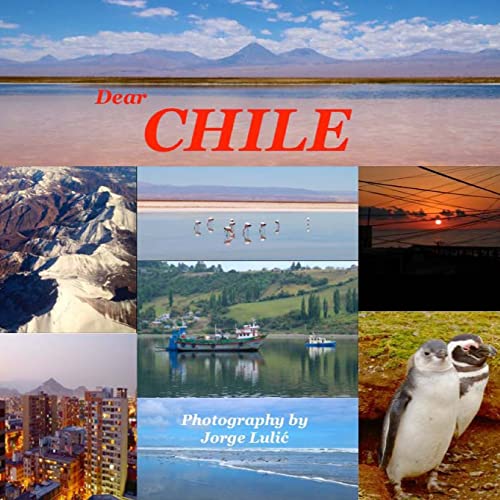 9781496189738: Dear Chile