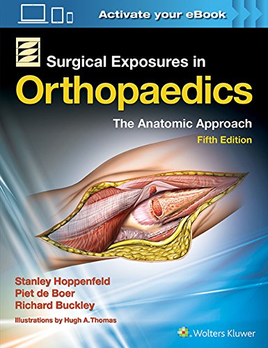 Stock image for Surgical Exposures in Orthopaedics: The Anatomic Approach for sale by HPB-Red
