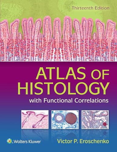 Stock image for Atlas of Histology with Functional Correlations for sale by HPB-Red