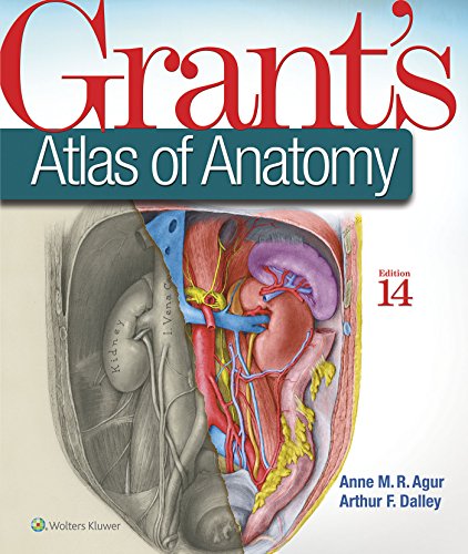 Stock image for Grant's Atlas of Anatomy for sale by HPB-Red