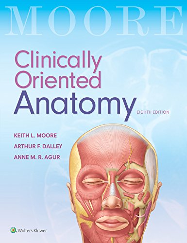 Stock image for Clinically Oriented Anatomy for sale by HPB-Red