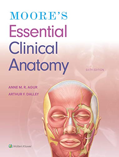 Beispielbild fr Moore's Essential Clinical Anatomy zum Verkauf von BooksRun