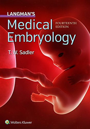 Imagen de archivo de Langman's Medical Embryology a la venta por ThriftBooks-Dallas