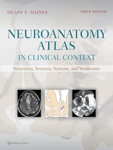 Imagen de archivo de Neuroanatomy Atlas in Clinical Context: Structures, Sections, Systems, and Syndromes a la venta por SecondSale