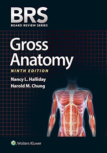 Beispielbild fr BRS Gross Anatomy (Board Review Series) zum Verkauf von BooksRun