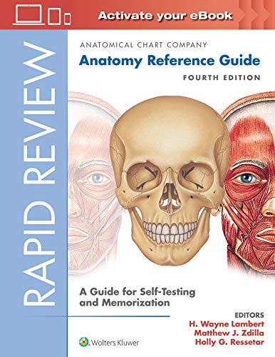 Imagen de archivo de Rapid Review: Anatomy Reference Guide: A Guide for Self-Testing and Memorization a la venta por BooksRun