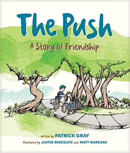 9781496428806: The Push: A Story of Friendship