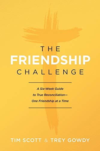 Imagen de archivo de The Friendship Challenge: A Six-Week Guide to True Reconciliation--One Friendship at a Time a la venta por BooksRun