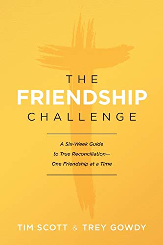 Stock image for The Friendship Challenge: A Six-Week Guide to True Reconciliation--One Friendship at a Time for sale by BooksRun