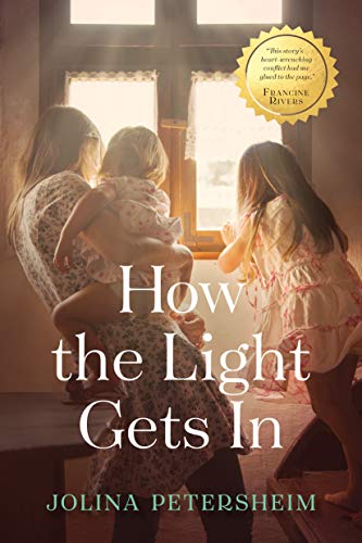 Beispielbild fr How the Light Gets In zum Verkauf von Better World Books